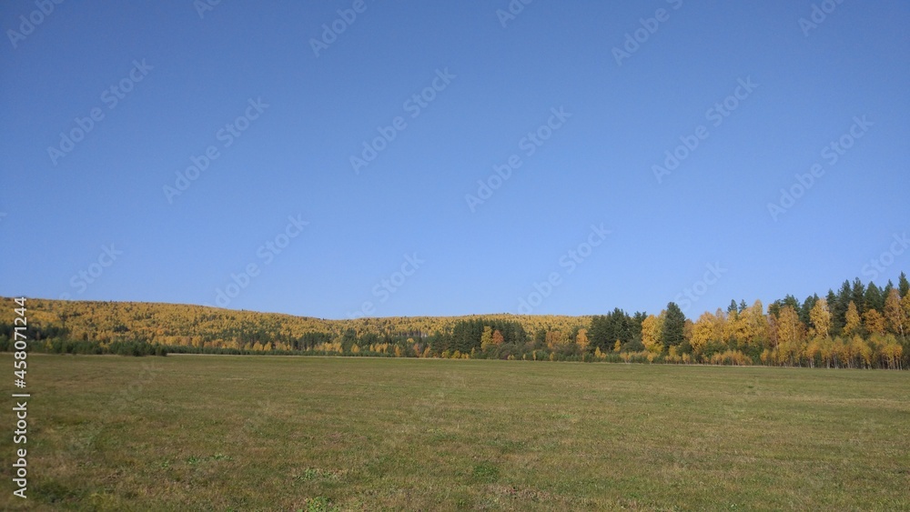 Fototapeta premium Autumn forest, autumn foliage, autumn trees and weather. Everything breathes in autumn, it's autumn time.