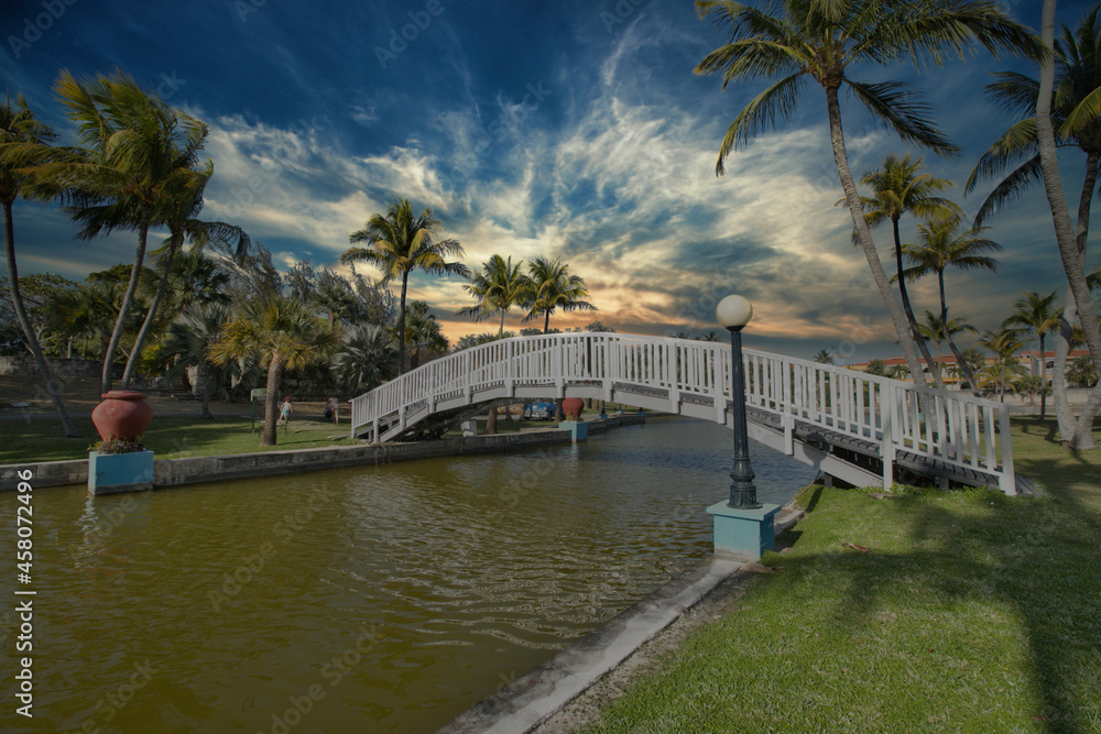 Fototapeta premium the bridge over the river