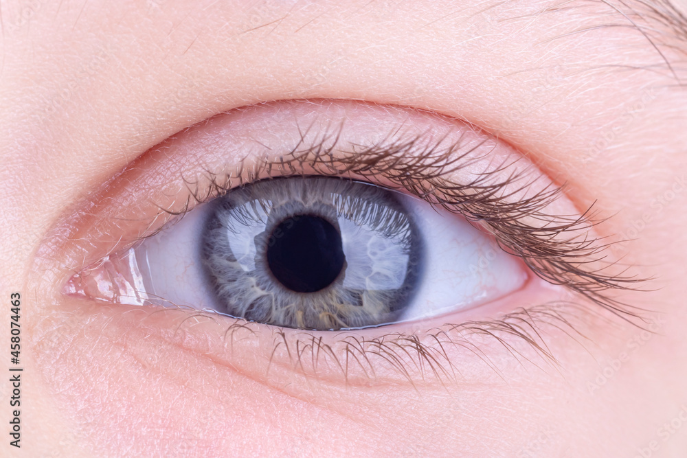 the eye is open. studio lighting. a girl, a teenage macro. close-up. the eye is open. studio lighting. a girl, a teenage macro. close-up.
