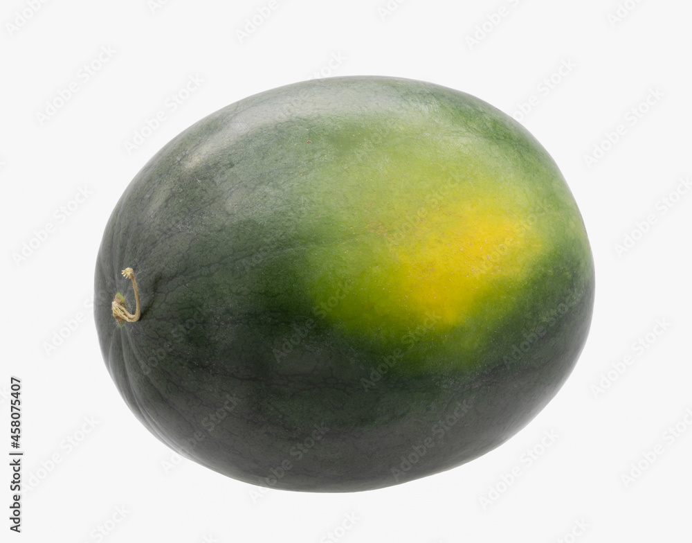 Green watermelon isolated on white background Green watermelon isolated on white background