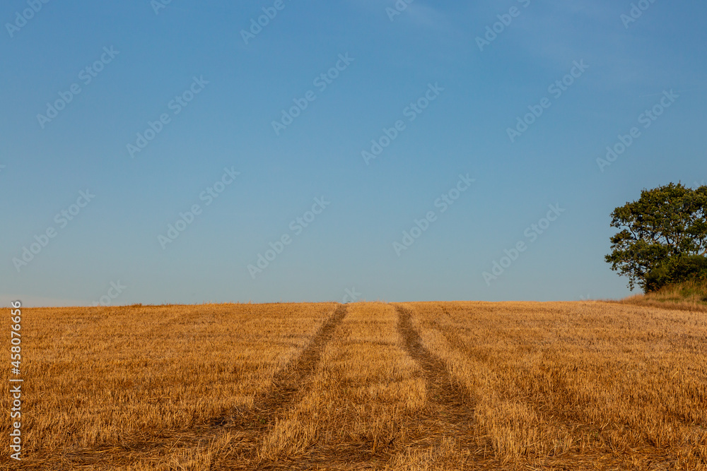 Obraz premium A Harveted Field in Sussex on a Sunny September Day