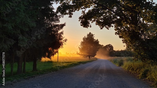 a beautiful country road at sunset with evening fog and bent oak branches over the road