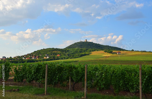 Bild auf Leinwand Vrsacke planine
