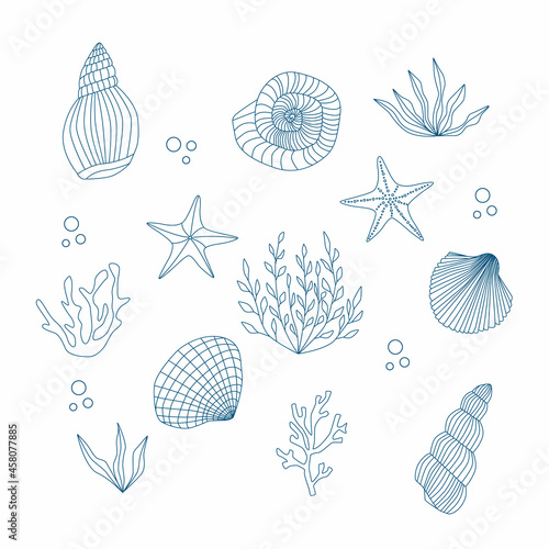 Set of sea design elements. Vector shell, starfish, scallop, algae, seaweed, coral. Isolated line illustration.