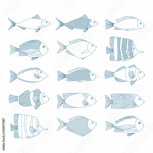 Set of vector outline fish illustrations. Sea blue icons. 