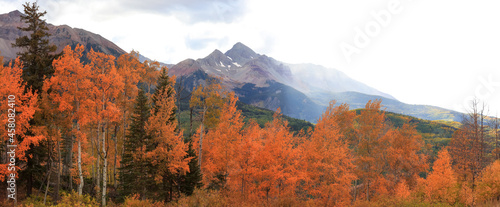 Obraz na plátně Panoramic view of bright fall foliage in San Juan mountains of Colorado