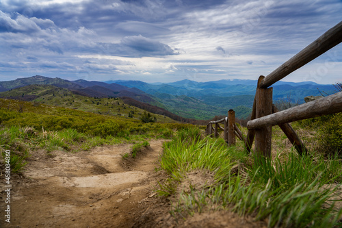 Fototapeta Naklejka Na Ścianę i Meble -  Góry Bieszczady, szlak Halicz - Rozsypaniec. Czerwiec 2021. 