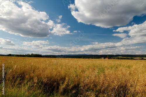 krajobraz, widok na pole pod niebieskim niebe, © WGBN