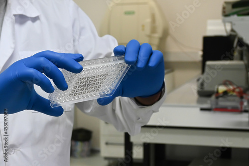 In the biological laboratory.