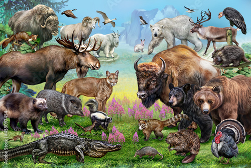 Animals of North America photo