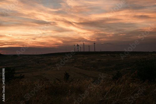 sunset in the field
