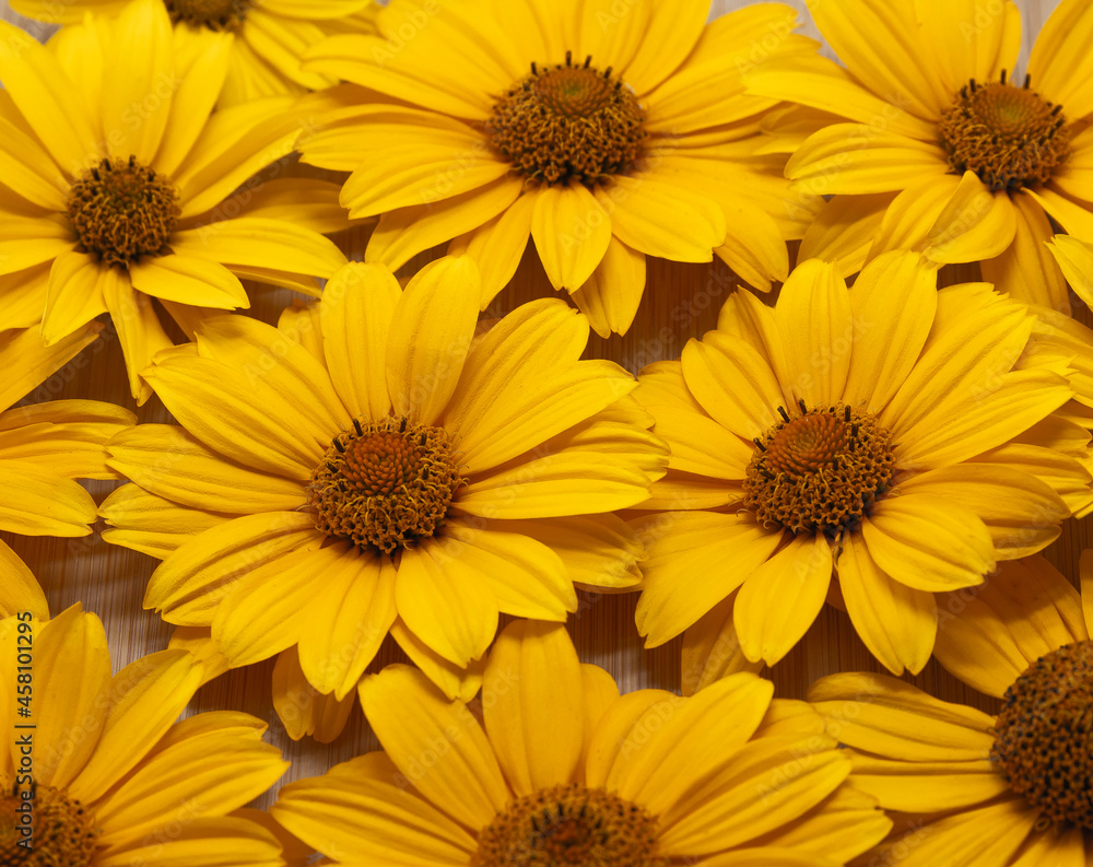 Yellow Flowers Background Pattern Texture copy space Yellow Flowers Background Pattern Texture copy space