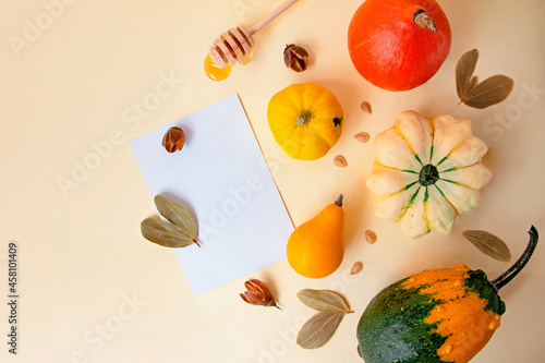 Beige background with different sorts of pumpkins on it.Dry autumn leafs and seeds near.Blank white card near,mockup.Copy space for text.