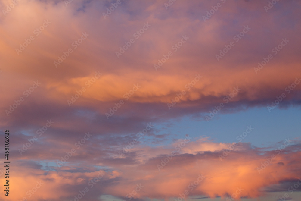 Natural background. Blue sky with pink clouds at sunset. Close-up.