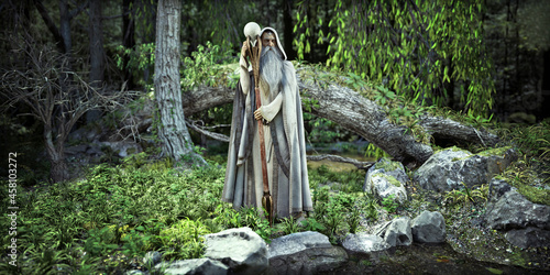 Fotografie The Wizard of the woods