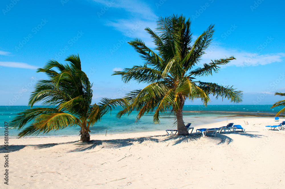 Obraz premium beach