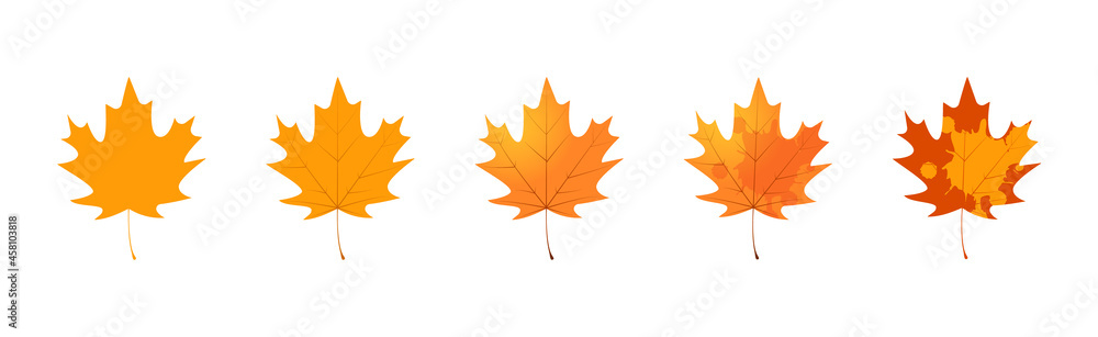 Withered maple leaf. Fallen autumn maple leaf icon Withered maple leaf. Fallen autumn maple leaf icon