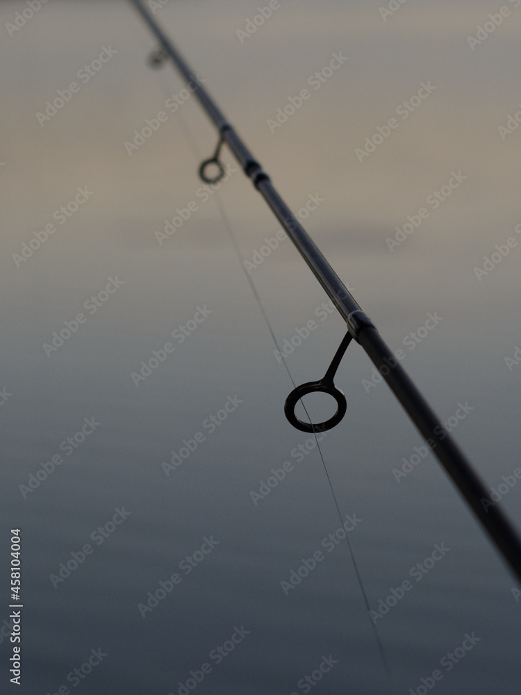 fishing on the lake. Fishing rod fishing on the lake. Fishing rod