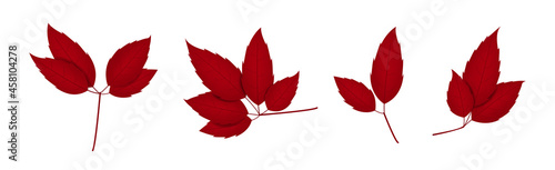 Obraz na plátne Red colored leaf branch icon. Filled leaf silhouette glyph