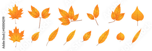 Orange autumn leaf icon. Motley yellow leaf glyph