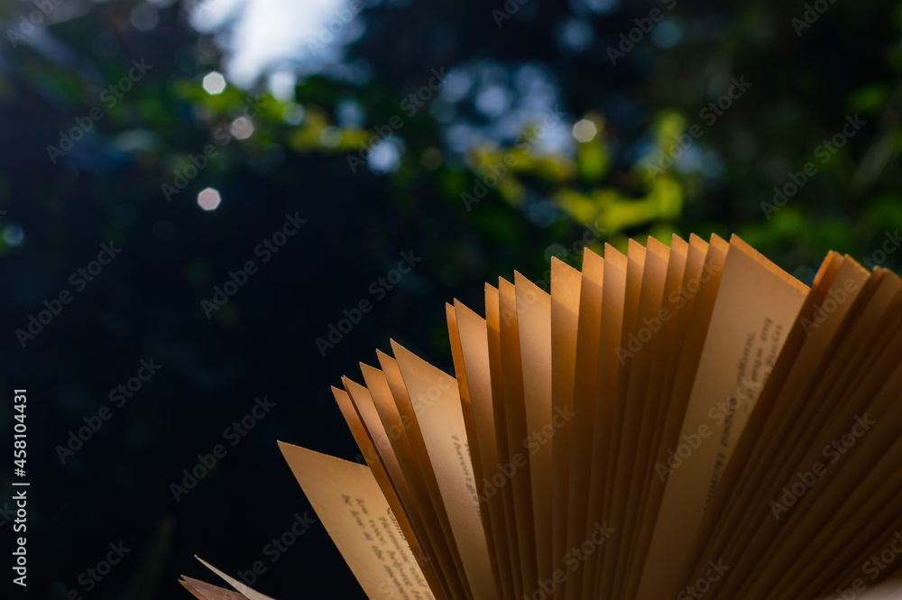 A fanned out book against a green background in the sunlight A fanned out book against a green background in the sunlight