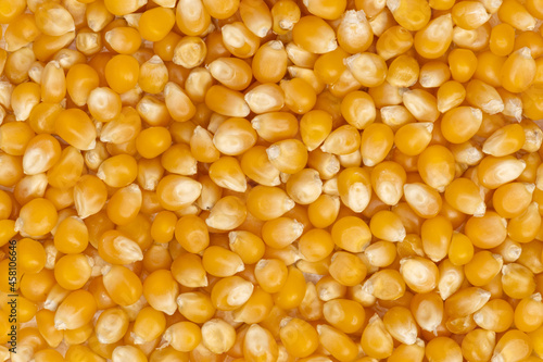 beautiful corn kernels
 in the foreground for healthy cooking