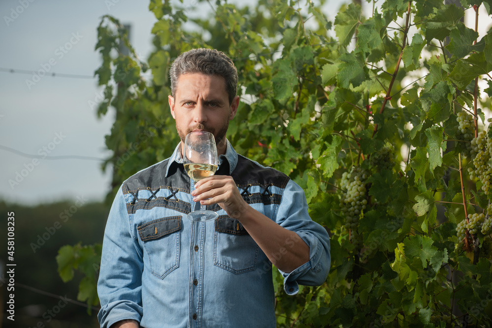 viticulturist man farmer drink wine at grape farm, winegrower viticulturist man farmer drink wine at grape farm, winegrower