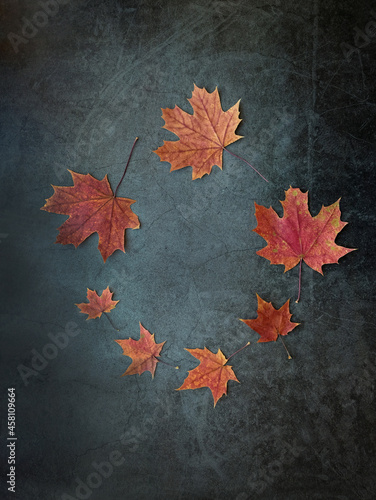 autumn maple leaves on abstract dark background. Symbol of autumn season. fall time. minimal composition. flat lay