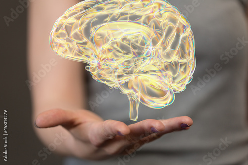 Human brain Anatomical Mode...