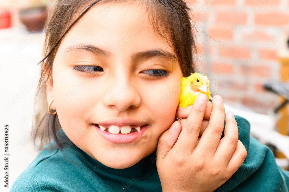 Yellow canary in the hands of a girl. bald little bird. care tenderness protection. Yellow canary in the hands of a girl. bald little bird. care tenderness protection.