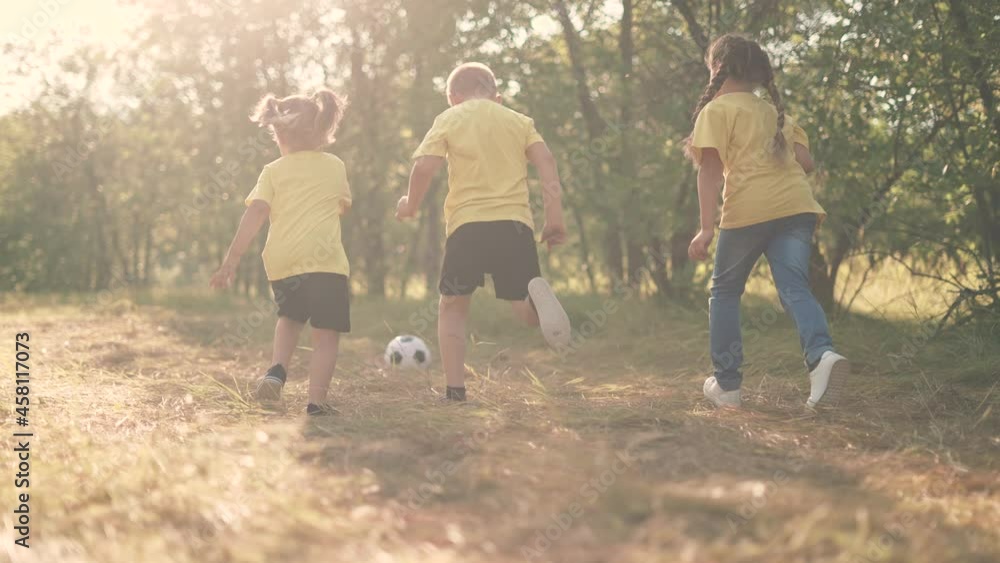Happy family of children having fun in the park. Happy kid are run. Children run for a colorful ball in the park. Family at sunset in the park have fun playing with a ball. team dream of kid. Happy family of children having fun in the park. Happy kid are run. Children run for a colorful ball in the park. Family at sunset in the park have fun playing with a ball. team dream of kid.