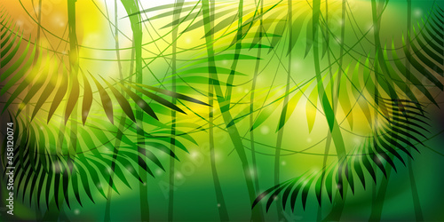 Wild Jungle Forest Background
