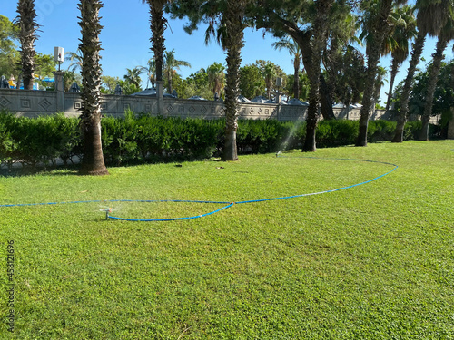 Palm trees and fence at Coral Cove Park, Jupiter Island, Florida photo