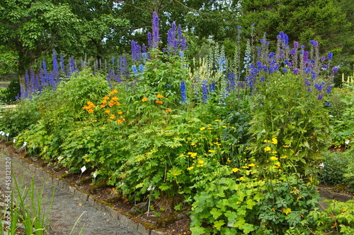 Botanical garden in Reykjavik, Iceland, Europe 