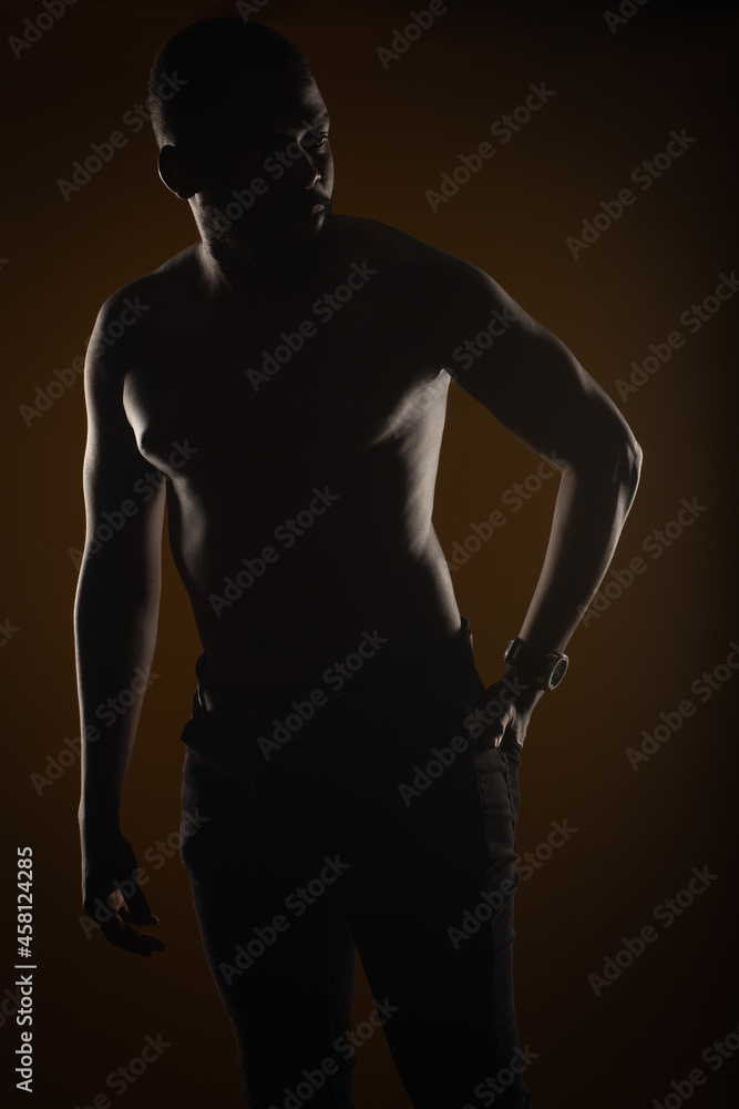 Fototapeta premium Portrait of silhouette