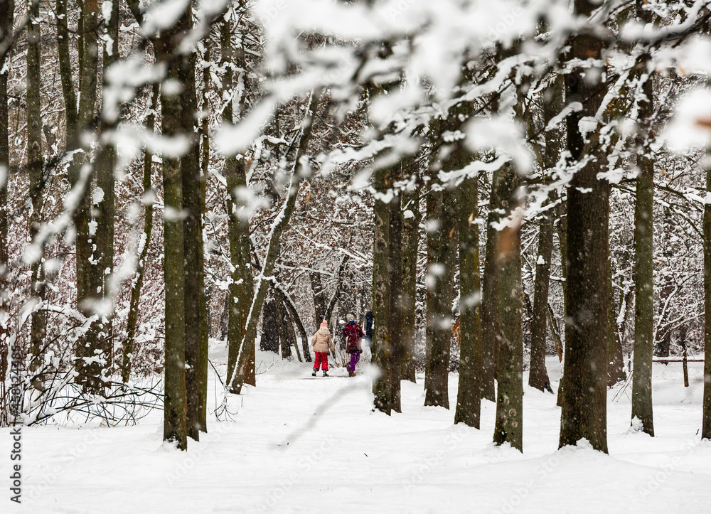 Winter in the Polish Aviators Park in Krakow Winter in the Polish Aviators Park in Krakow