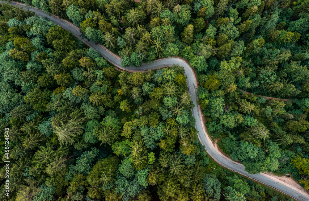 A bending road from above leading through a green forest. Drone shot for  wallpapers, top down from above aerial shot in the late summer. foto de  Stock | Adobe Stock