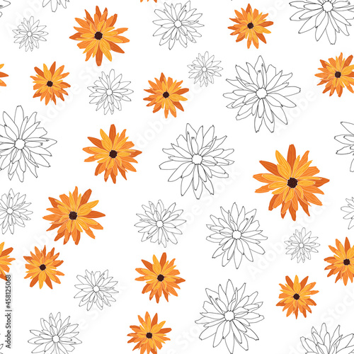 Seamless botanical pattern with rudbeckia flowers. Herbal background. Hand drawn illustration. Floral vector botany pattern with herbs