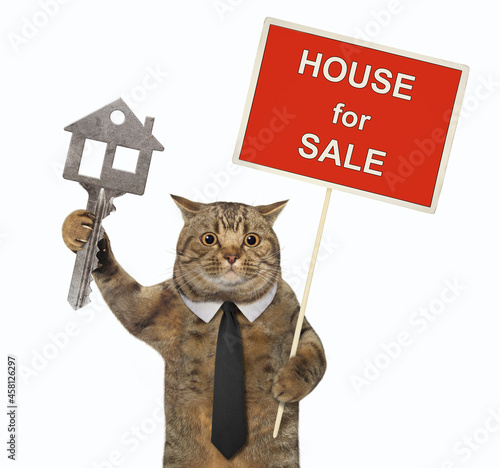 A beige cat in a black tie holds a house key and a sign House for sale. White background. Isolated.