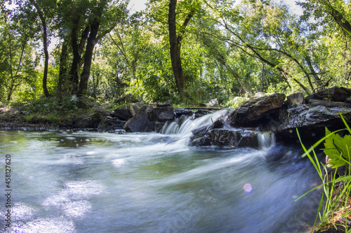 Beautiful stream in the forest