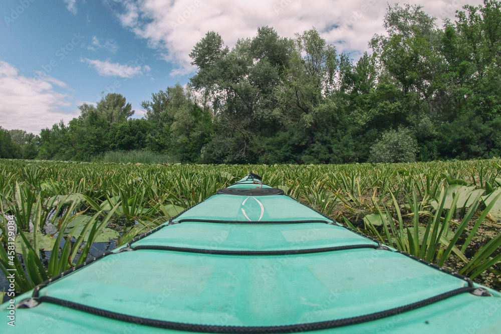 Kayak (canoe) hike across the densely thicket river, along the beautiful views of the river