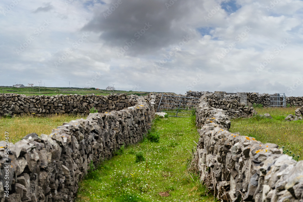 Traditional dry stone fences. Inishmore, Aran Islands, County Galway, Ireland. Irish landscape