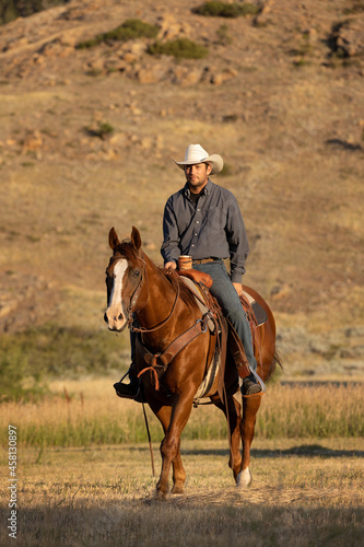 Cowboy and Horse © Terri Cage 