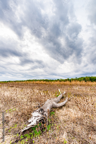 Iowa State Park Polk City Saylorville Lake photo