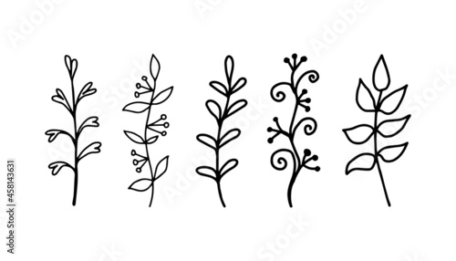 Hand drawn linear leaves, branches. Botanical elements growing plants. Vector illustration