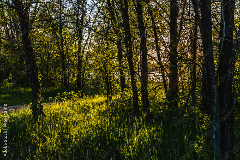 Fototapeta premium Iowa West Des Moines Raccoon River State Park Sunset