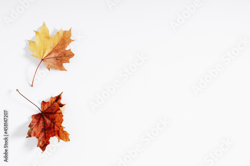 Autumn creative composition on white background. Fall concept. Autumn background. Flat lay, top view, copy space