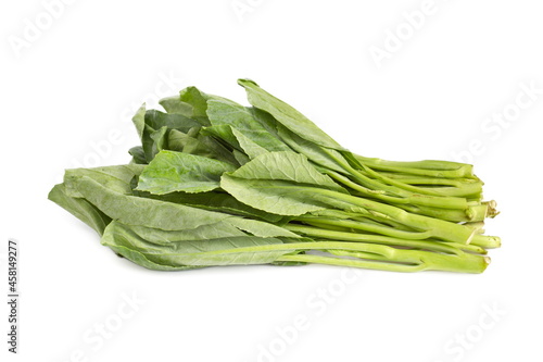 Chinese Kale isolated on white background.