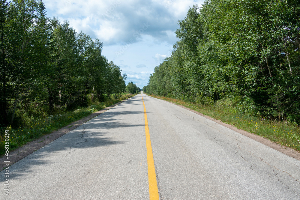 Fototapeta premium A long two lane country road with a single solid yellow centerline. The road has a couple of hills and valleys. The sides of the road have rich green trees enclosing the scene with an evening sky.