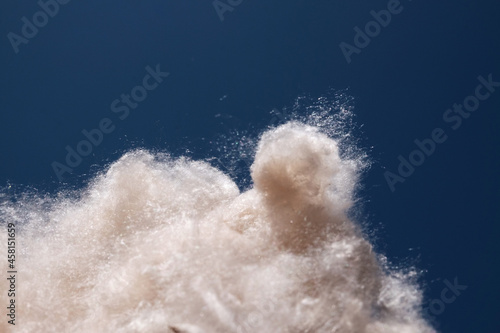 Java cotton or Java kapok